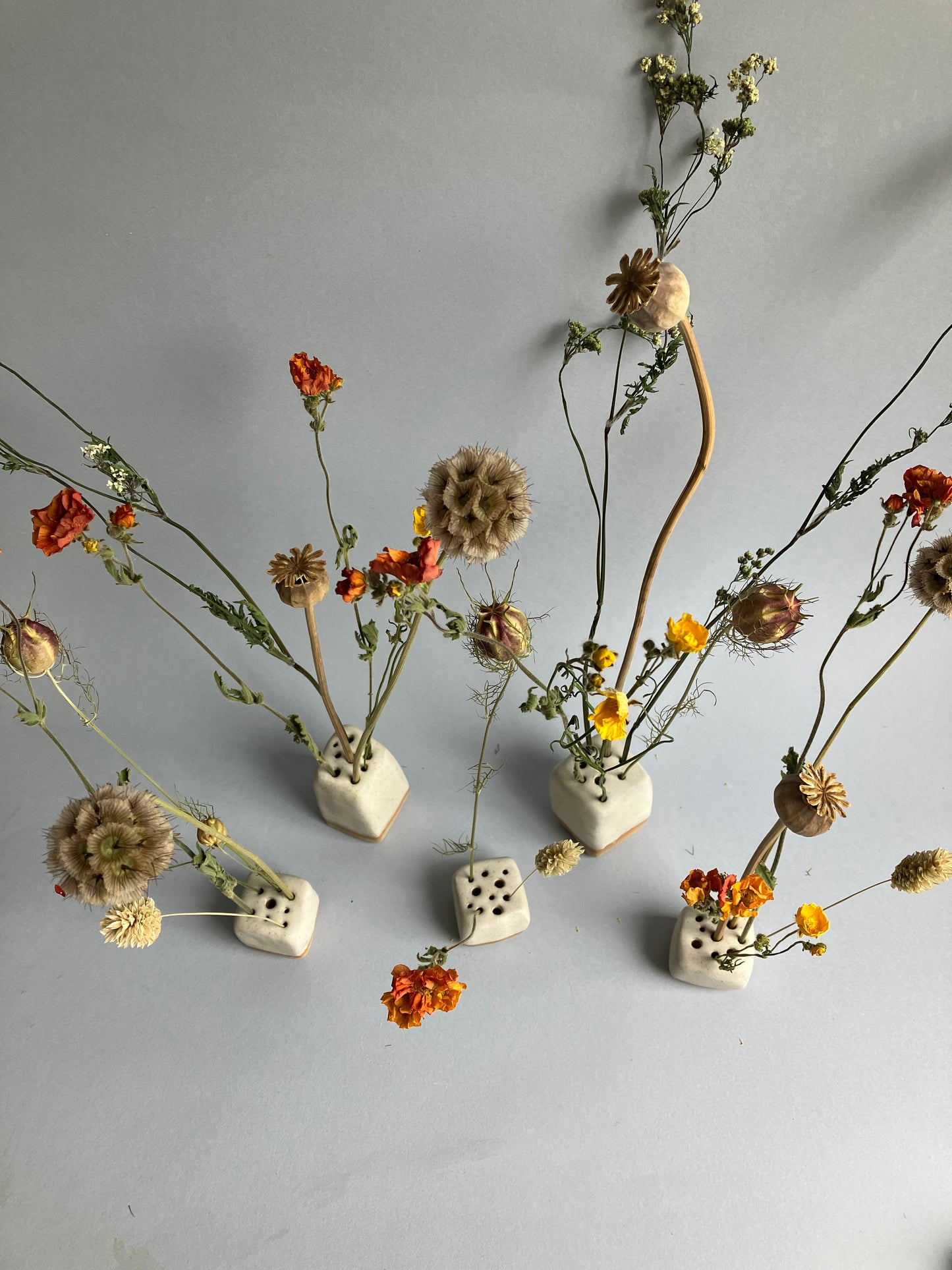 Stem Cube - mini bundle