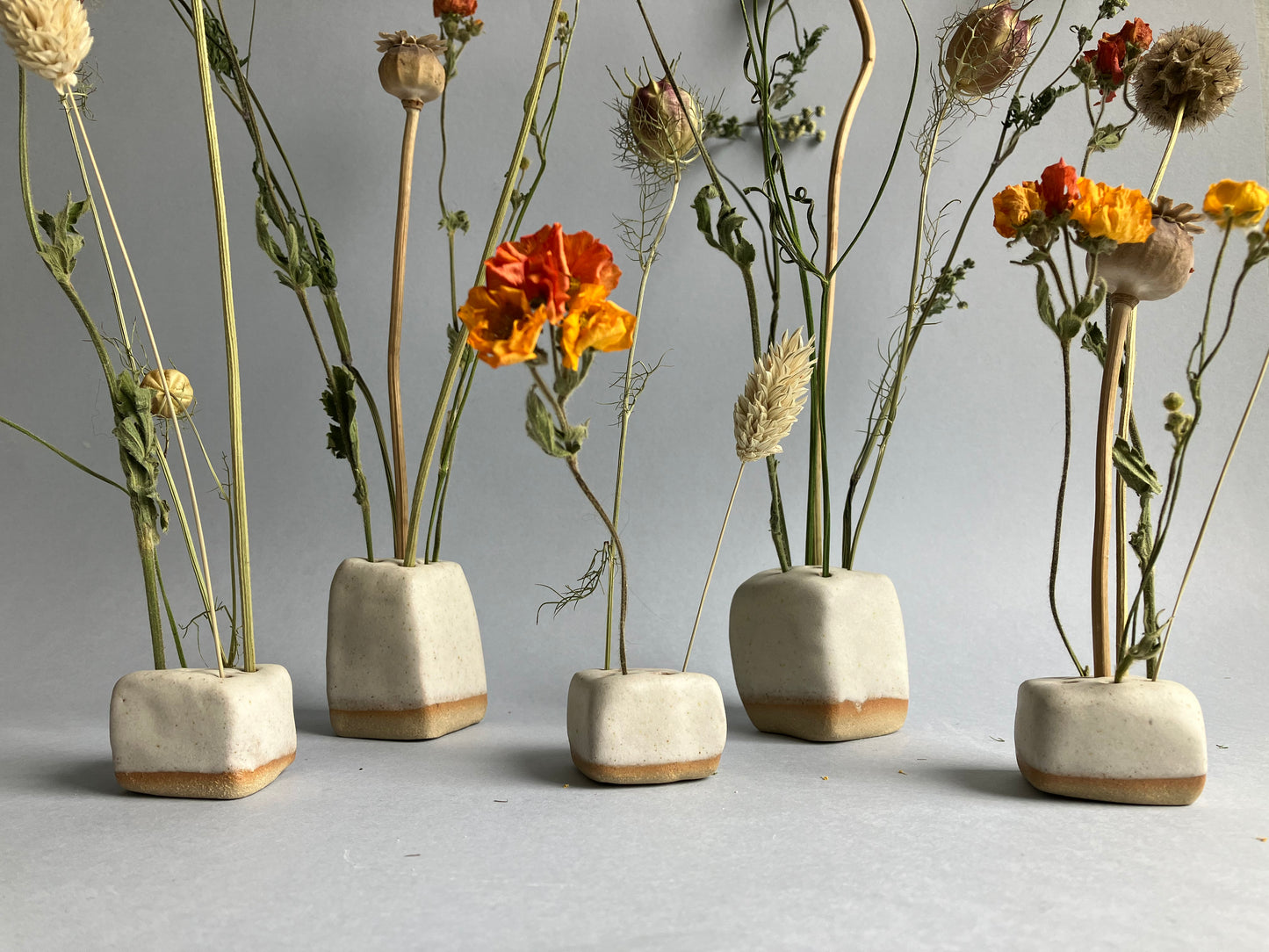 Stem Cube - mini bundle