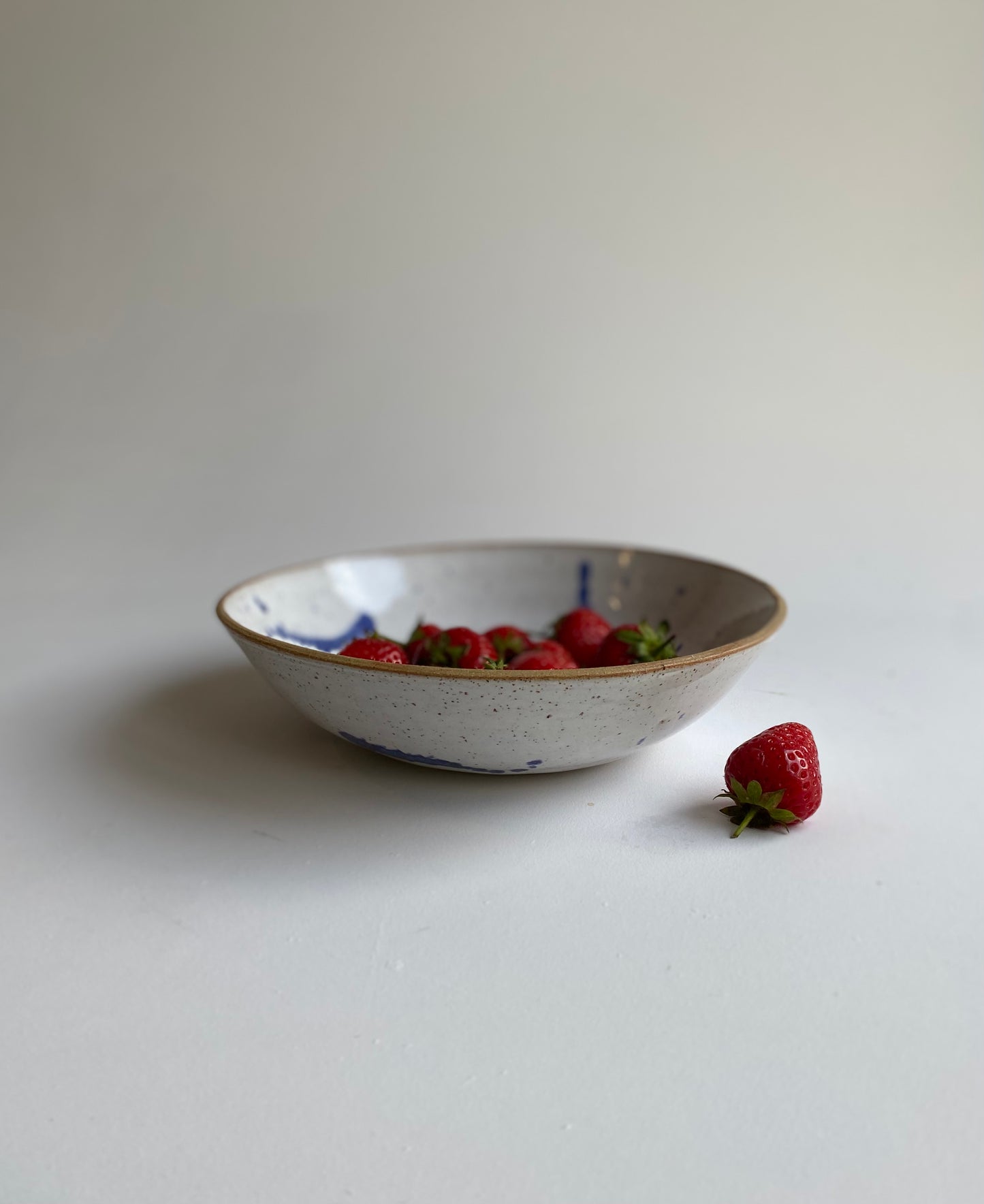 Dinner bowl 10
