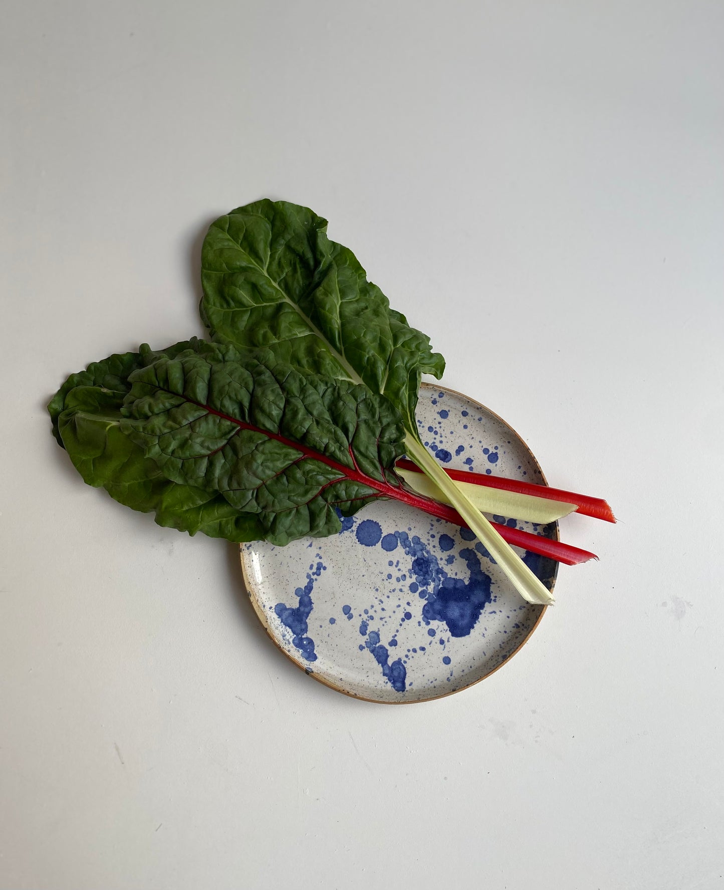 Dinner Plate 1