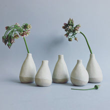 Load image into Gallery viewer, Bundle of five mini bud vases
