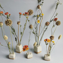 Load image into Gallery viewer, Mini stem cube bundle with dried flowers
