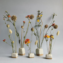 Load image into Gallery viewer, Mini stem cube bundle with dried flowers
