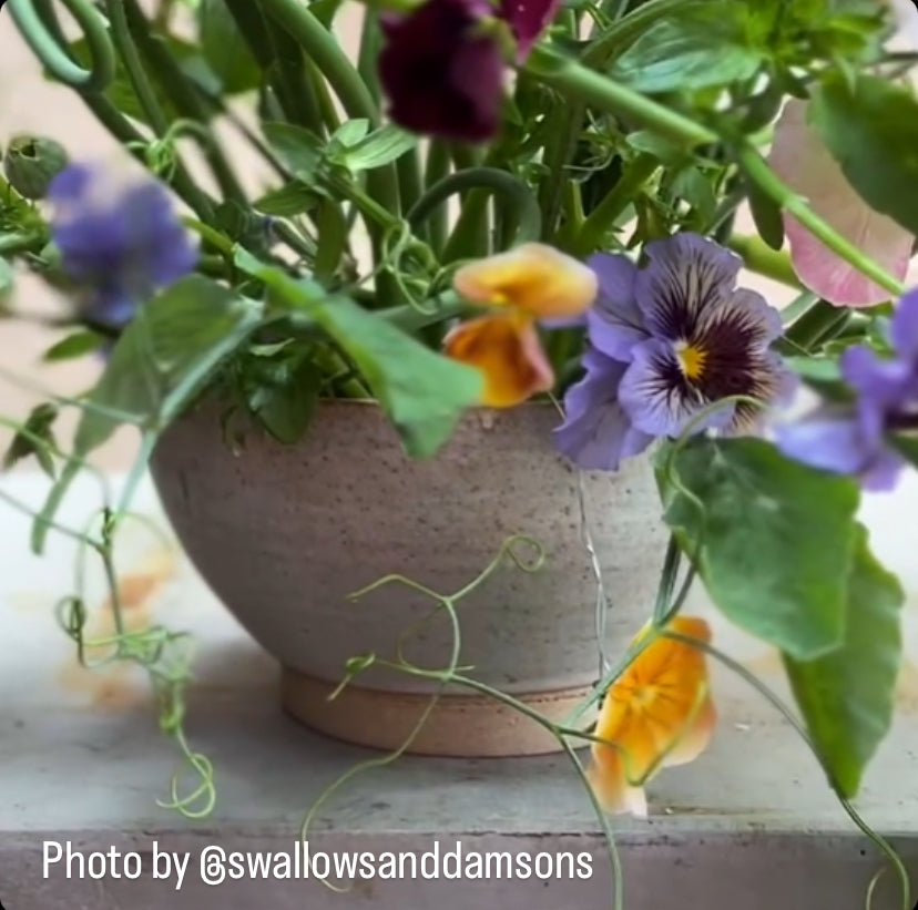 Simple Flower Bowl & Medium Stem Disc