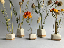 Load image into Gallery viewer, Mini stem cube bundle with dried flowers

