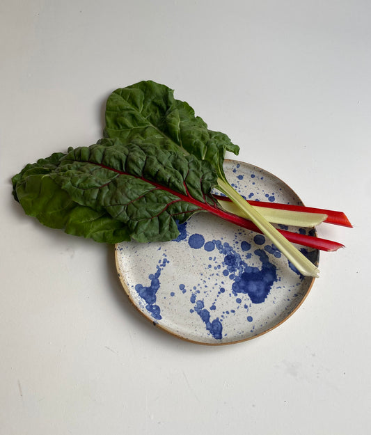 Dinner Plate 1