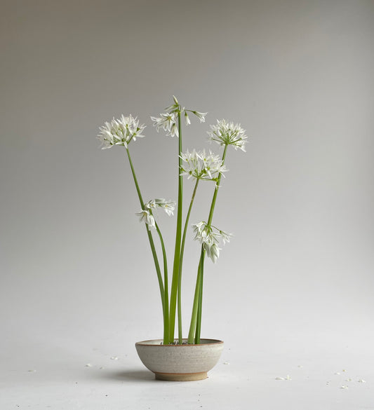 Ikebana set no. 2